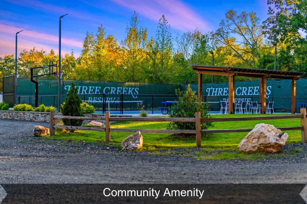 Pickleball 2 Community Amenity