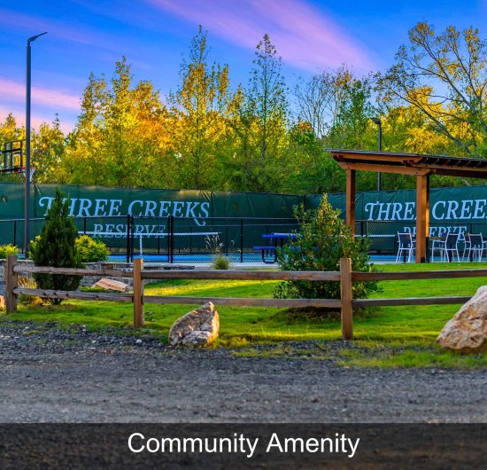 Pickleball 2 Community Amenity