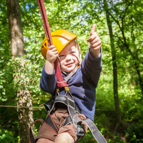 Brave,Little,Boy,Having,Fun,At,Adventure,Park,And,Smiling